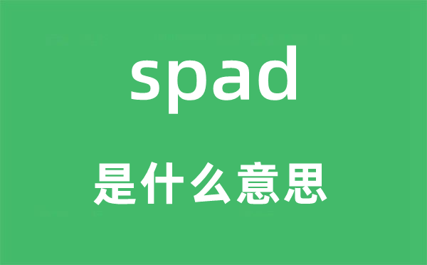 spad是甚么意义,spad怎样读,中文翻译是甚么