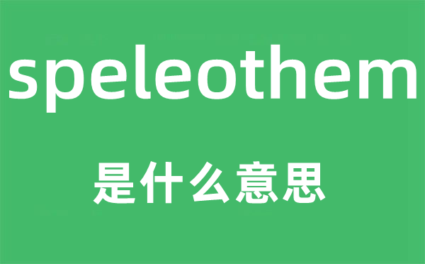 speleothem是甚么意义,speleothem怎样读,中文翻译是甚么