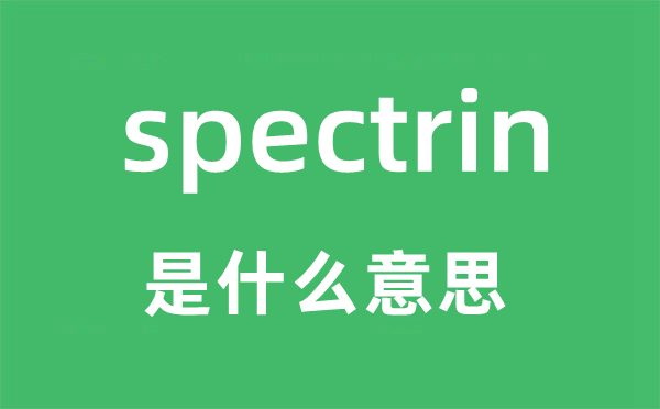 spectrin是甚么意义,spectrin怎样读,中文翻译是甚么