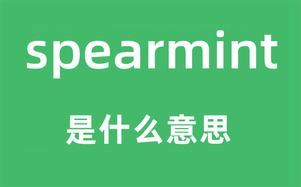 spearmint是甚么意义,spearmint怎样读,中文翻译是甚么