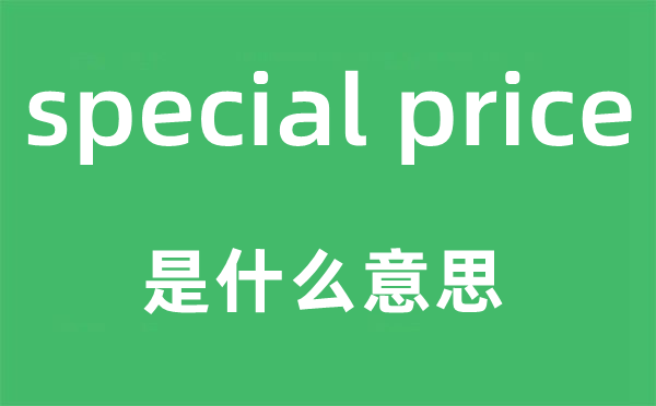 special price是甚么意义,中文翻译是甚么