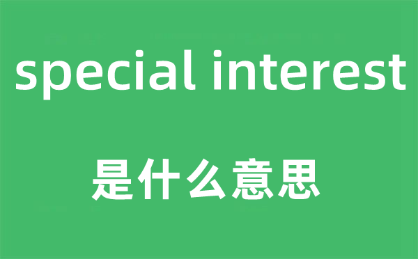 special interest是甚么意义,中文翻译是甚么