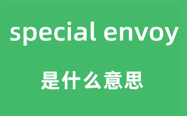 special envoy是甚么意义,中文翻译是甚么