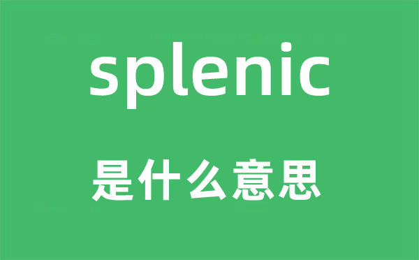 splenic是甚么意义,splenic怎样读,中文翻译是甚么