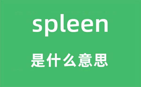spleen是甚么意义,spleen怎样读,中文翻译是甚么