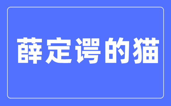 薛定谔的猫是甚么意义,对于薛定谔的猫浅显诠释