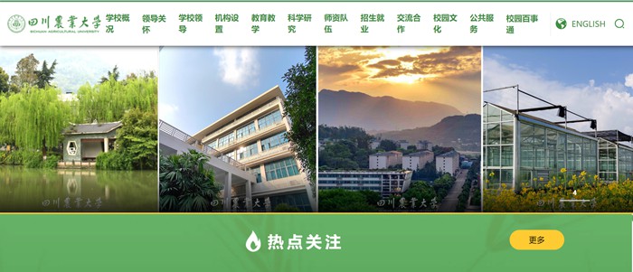 四川农业大学官网网址（//www.sicau.edu.cn/）