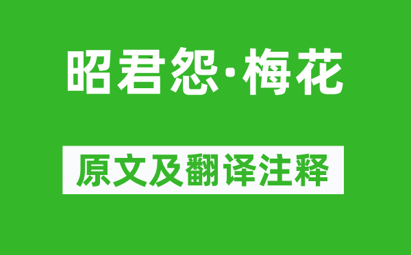 郑域《昭君怨·梅花》原文及翻译正文,诗意诠释