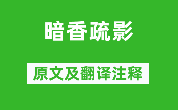 姜夔《暗香疏影》原文及翻译正文,诗意诠释