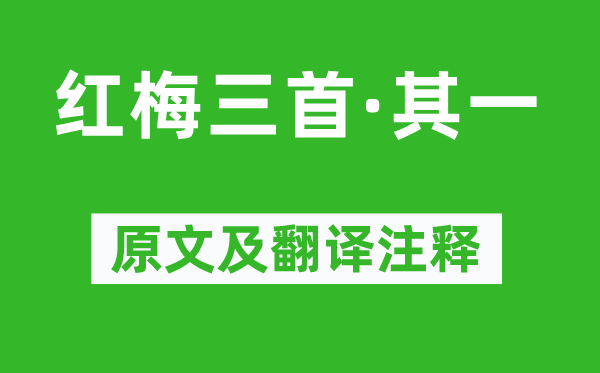苏轼《红梅三首·其一》原文及翻译正文,诗意诠释