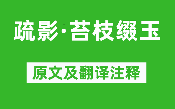姜夔《疏影·苔枝缀玉》原文及翻译正文,诗意诠释