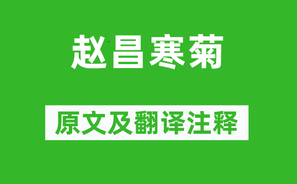苏轼《赵昌寒菊》原文及翻译正文,诗意诠释