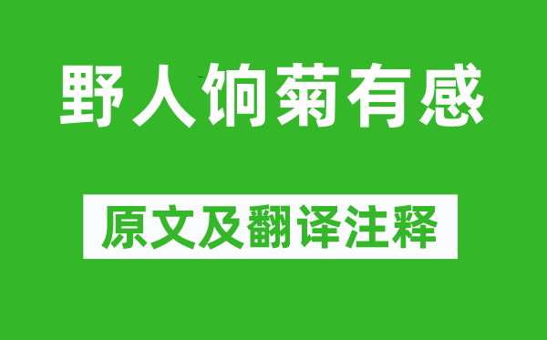 张煌言《野人饷菊有感》原文及翻译正文,诗意诠释
