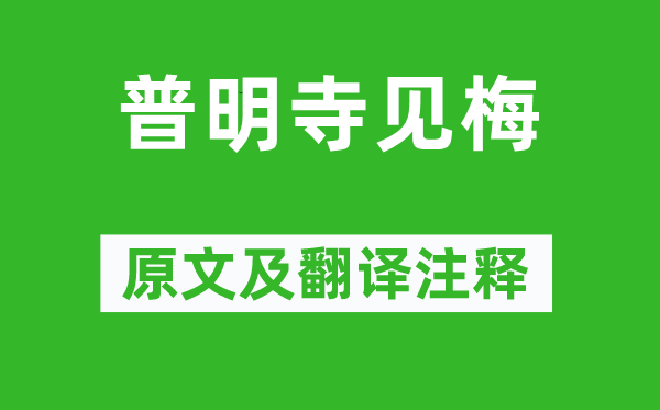杨万里《普明寺见梅》原文及翻译正文,诗意诠释