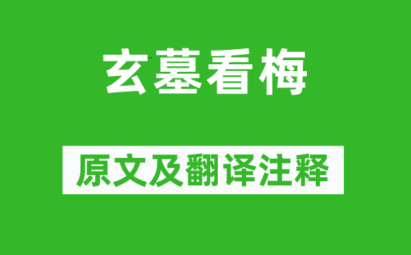 德元《玄墓看梅》原文及翻译正文,诗意诠释