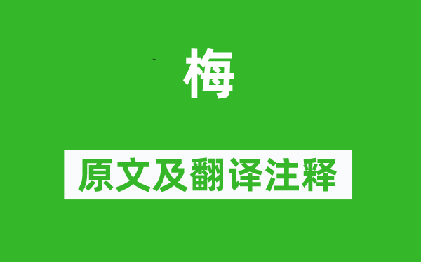 王淇《梅》原文及翻译正文,诗意诠释