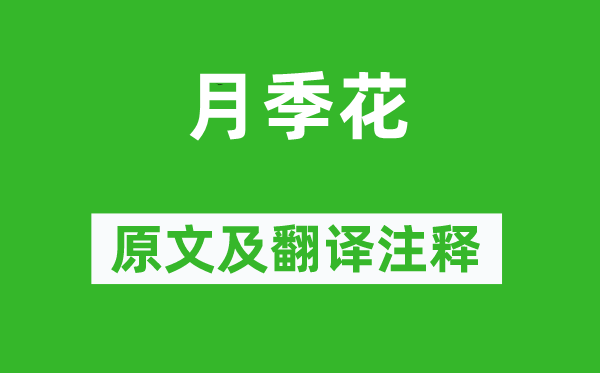 张新《月季花》原文及翻译正文,诗意诠释