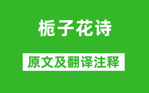 沈周《栀子花诗》原文及翻译正文,诗意诠释