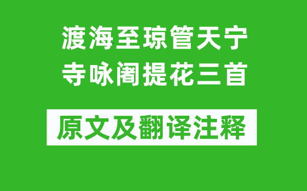 李纲《渡海至琼管天宁寺咏阇提花三首》原文及翻译正文,诗意诠释