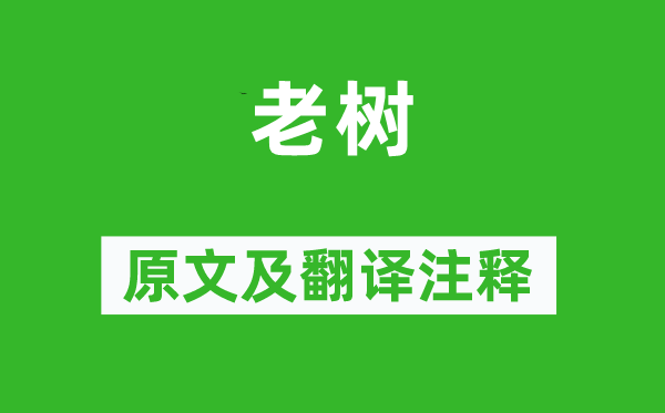 元好问《老树》原文及翻译正文,诗意诠释