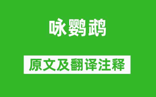 僧定渚《咏鹦鹉》原文及翻译正文,诗意诠释