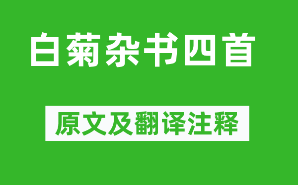 司空图《白菊杂书四首》原文及翻译正文,诗意诠释