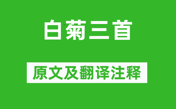司空图《白菊三首》原文及翻译正文,诗意诠释