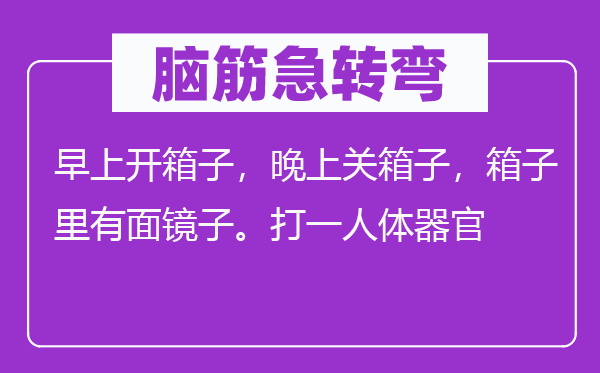 脑子急转弯:早上开箱子,早晨关箱子,箱子里有面镜子。打一人体器官
