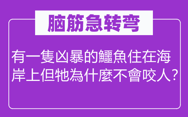脑子急转弯：有一隻泼辣的鱷魚住在海岸上但牠為什麼不會咬人？