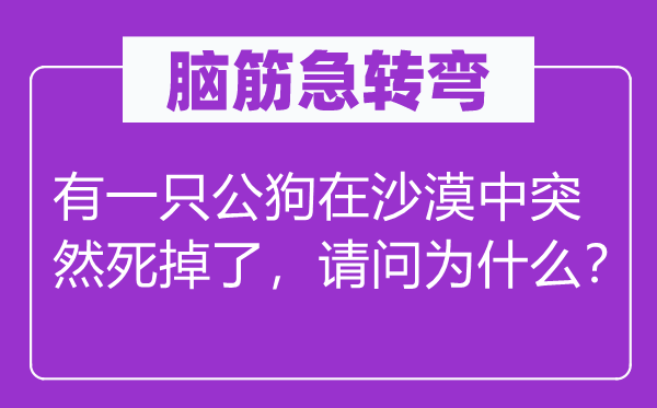 脑子急转弯：有一只公狗在戈壁中俄然死掉了，叨教为甚么？