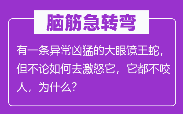 脑子急转弯：有一条非常凶悍的大眼镜王蛇，但不管若何去激愤它，它都不咬人，为甚么？