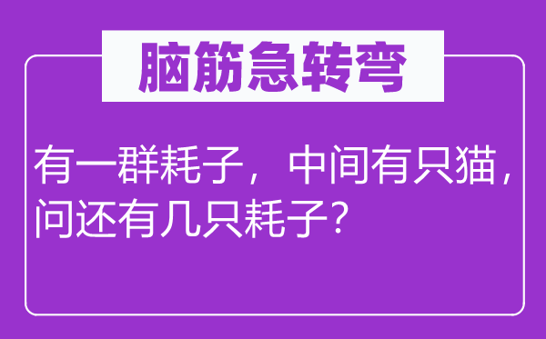 脑子急转弯：有一群耗子，中心有只猫，问另有几只耗子？