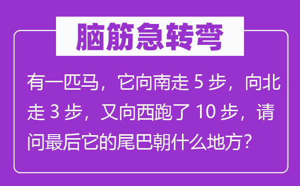 脑子急转弯:有一匹马,它向南走5步,向北走3步,又向西跑了10步,叨教最初它的尾巴朝甚么处所?