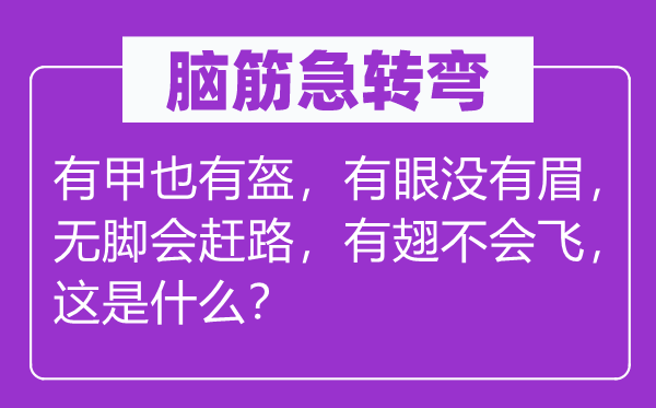 脑子急转弯:有甲也有盔,有眼不眉,无脚会赶路,有翅不会飞,这是甚么?