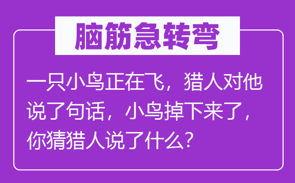 脑子急转弯:一只小鸟正在飞,猎人对他说了句话,小鸟掉上去了,你猜猎人说了甚么?