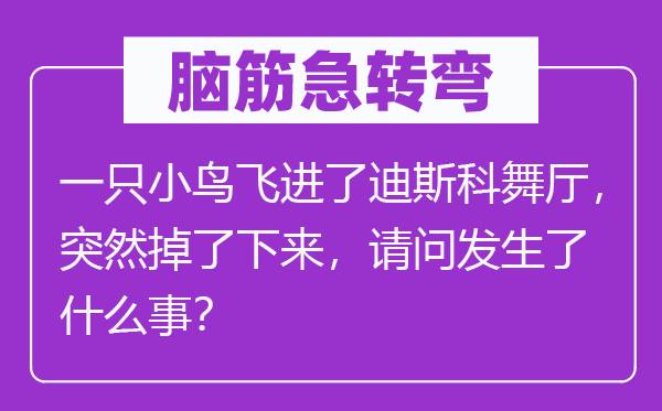 脑子急转弯:一只小鸟飞进了迪斯科舞厅,俄然掉了上去,叨教产生了甚么事?