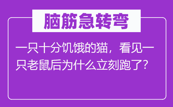 脑子急转弯:一只非常饥饿的猫,瞥见一只老鼠后为甚么立即跑了?