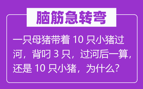 脑子急转弯:一只母猪带着10只小猪过河,背叼3只,过河后一算,仍是10只小猪,为甚么?