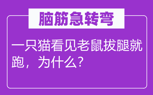 脑子急转弯:一只猫瞥见老鼠拔腿就跑,为甚么?