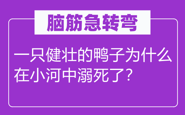 脑子急转弯:一只硬朗的鸭子为甚么在小河中灭顶了?