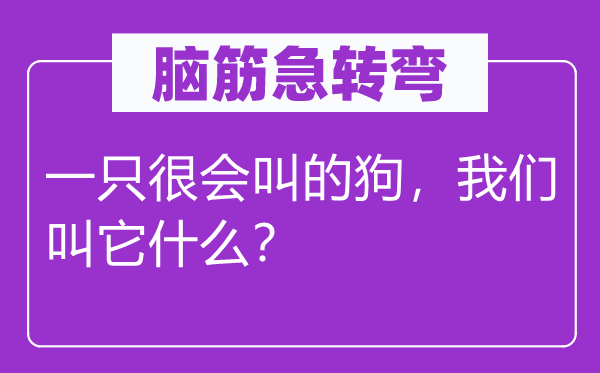 脑子急转弯:一只很会叫的狗,咱们叫它甚么?