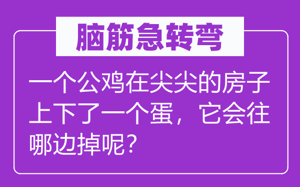 脑子急转弯:一个公鸡在尖尖的屋子高低了一个蛋,它会往哪边掉呢?