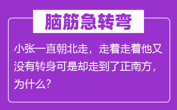 脑子急转弯：小张一向朝北走，走着走着他又不回身但是却走到了正南边，为甚么？