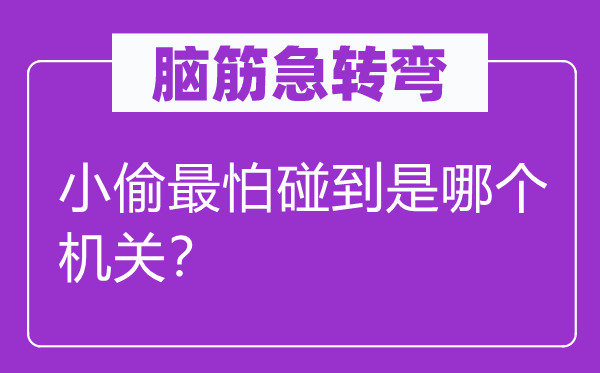 脑子急转弯：小偷最怕碰着是哪一个构造？