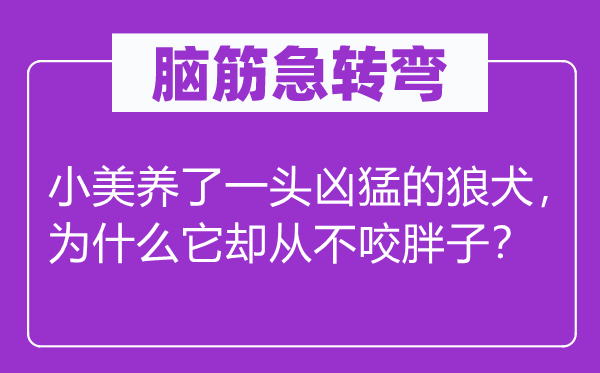 脑子急转弯：小美养了一头凶悍的狼犬，为甚么它却从不咬瘦子？