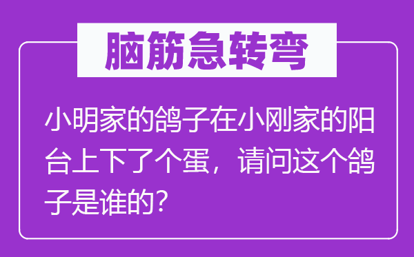 脑子急转弯：小明家的鸽子在小刚家的阳台高低了个蛋，叨教这个鸽子是谁的？