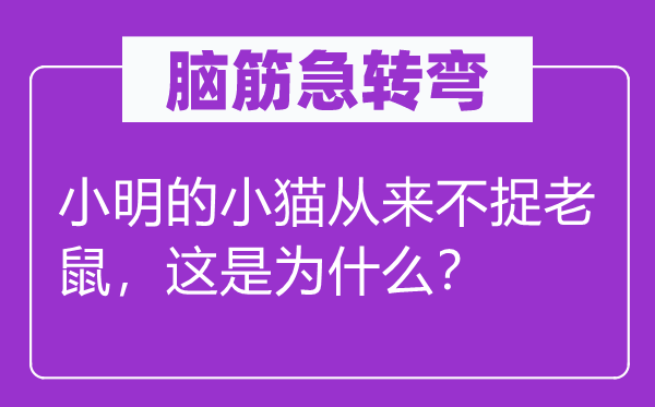 脑子急转弯：小明的小猫历来不捉老鼠，这是为甚么？