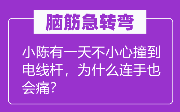 脑子急转弯：小陈有一天不谨慎撞到电线杆，为甚么连手也会痛？