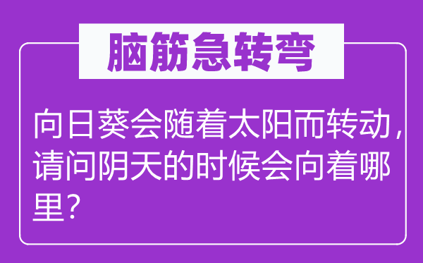 脑子急转弯：向日葵会跟着太阳而动弹，叨教阴天的时辰会向着那里？