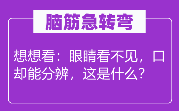 脑子急转弯：想一想看：眼睛看不见，口却能分辩，这是甚么？